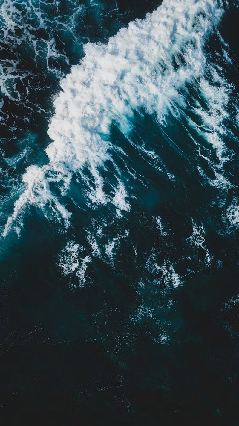 Submarine Cables, Subsidiares and&nbsp;Subversion
