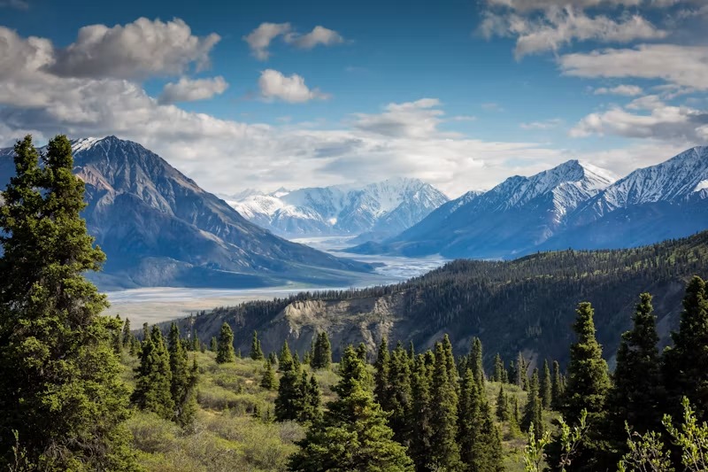 snow capped mountains with valley and forest